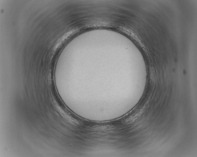 X0000069390629200606021632