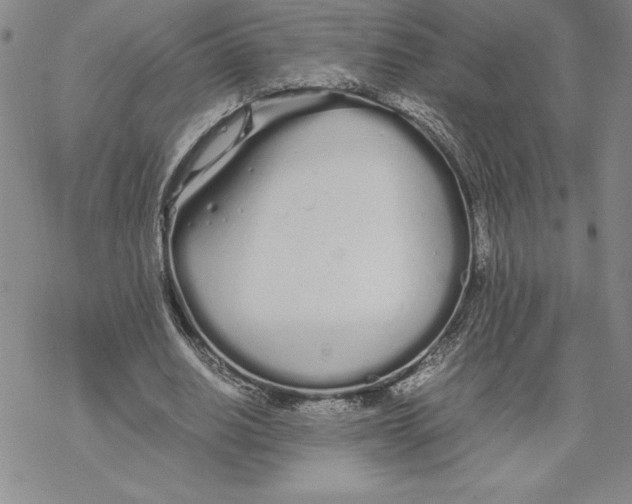 X0000069390630200606021632