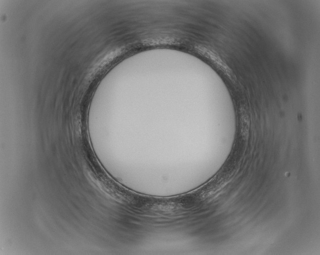 X0000069390631200606021632