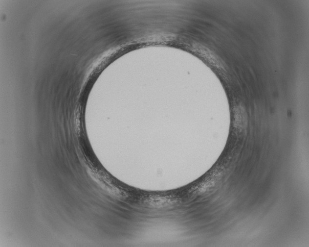 X0000069390632200606021632