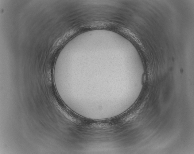 X0000069390633200606021632