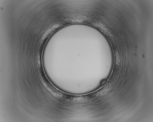 X0000069390634200606021632