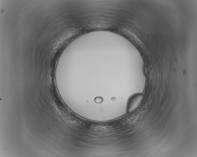 X0000069390635200606021632