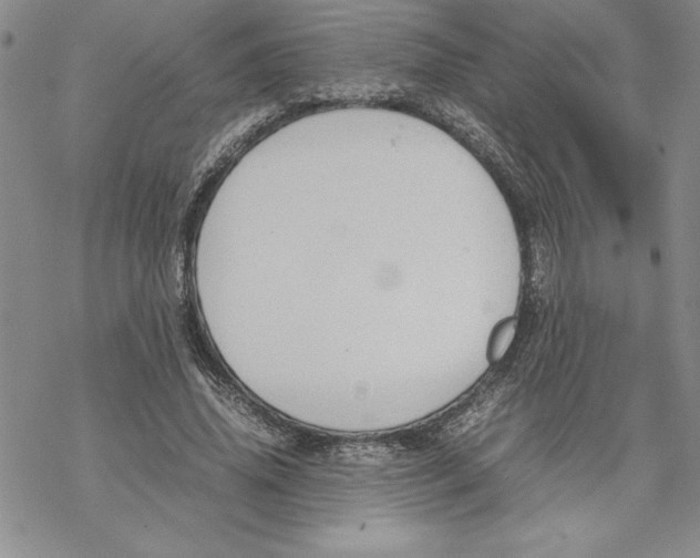 X0000069390636200606021632