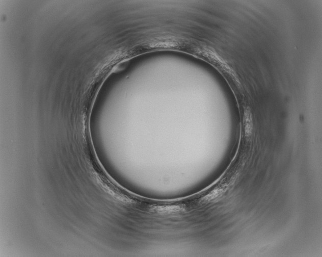 X0000069390637200606021633