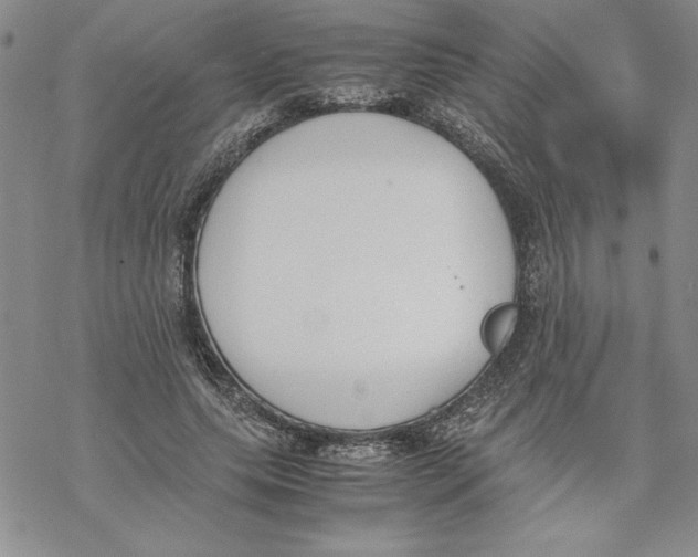 X0000069390639200606021633