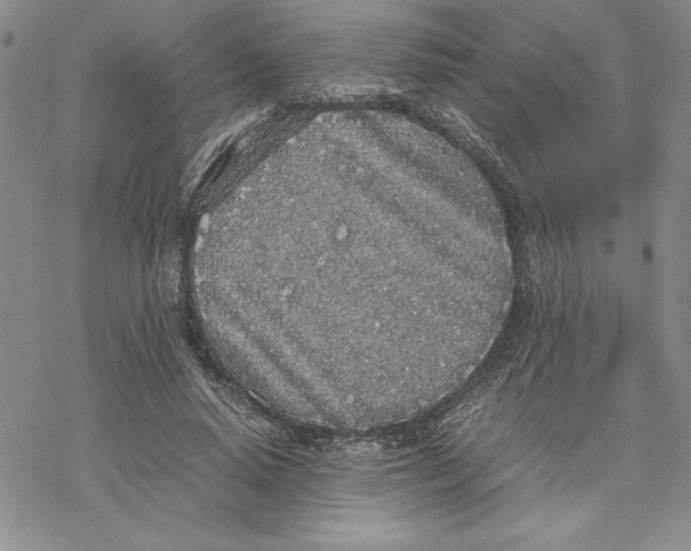 X0000069390640200606021633