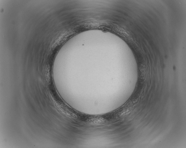 X0000069390642200606021633