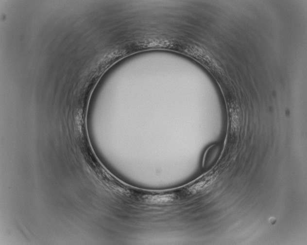 X0000069390643200606021633