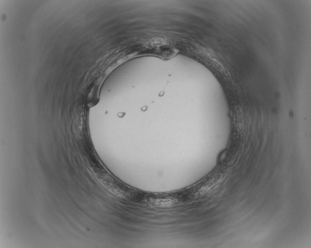 X0000069390645200606021633