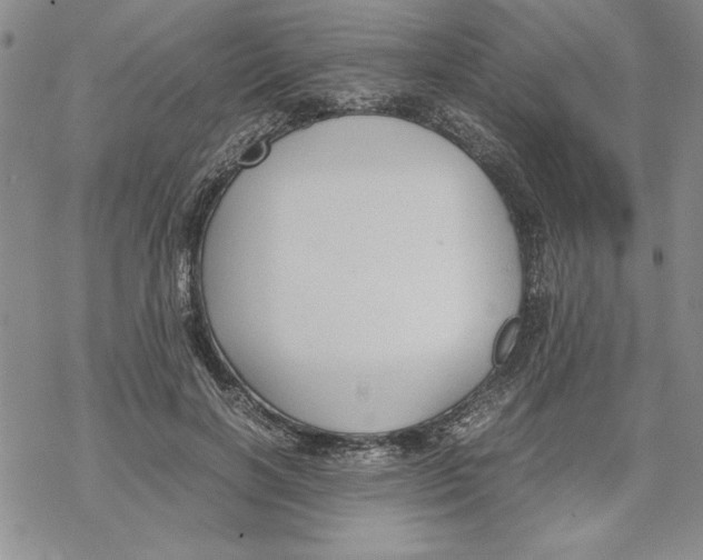 X0000069390646200606021633