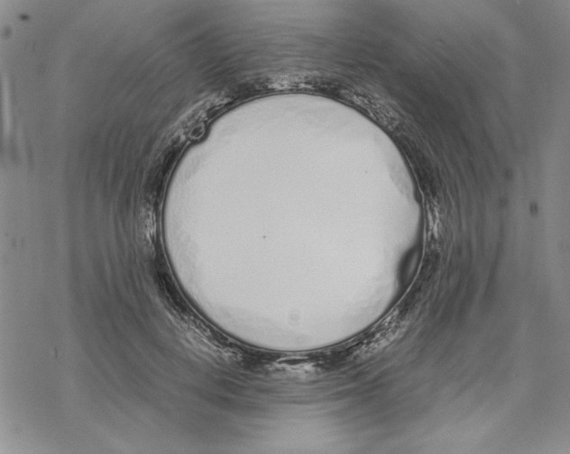 X0000069390648200606021633