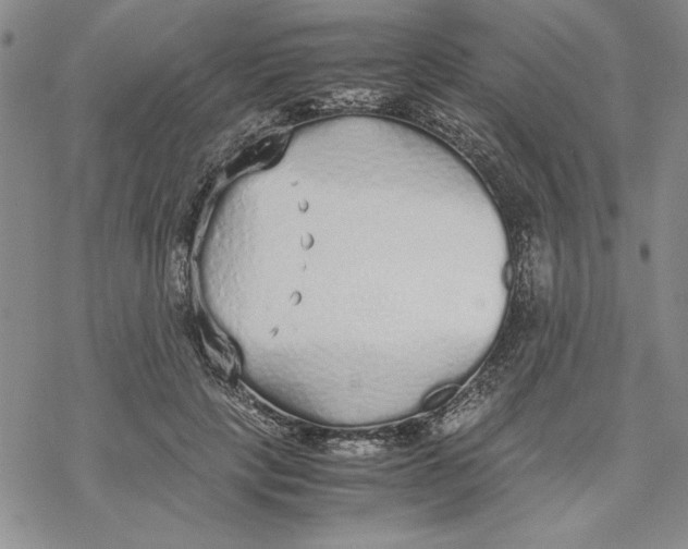 X0000069390649200606021633