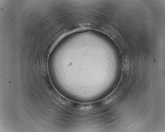 X0000069390653200606021633