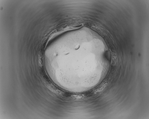 X0000069390654200606021633