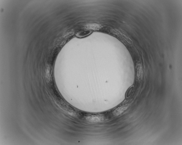 X0000069390655200606021633