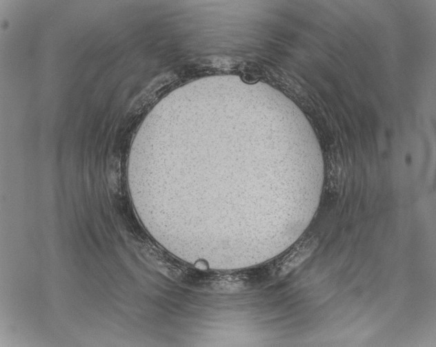 X0000069390656200606021633