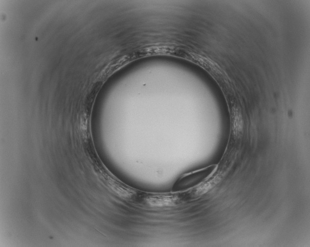 X0000069390661200606021633