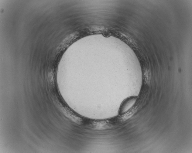 X0000069390662200606021633