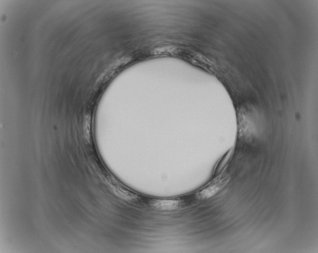 X0000069390664200606021633