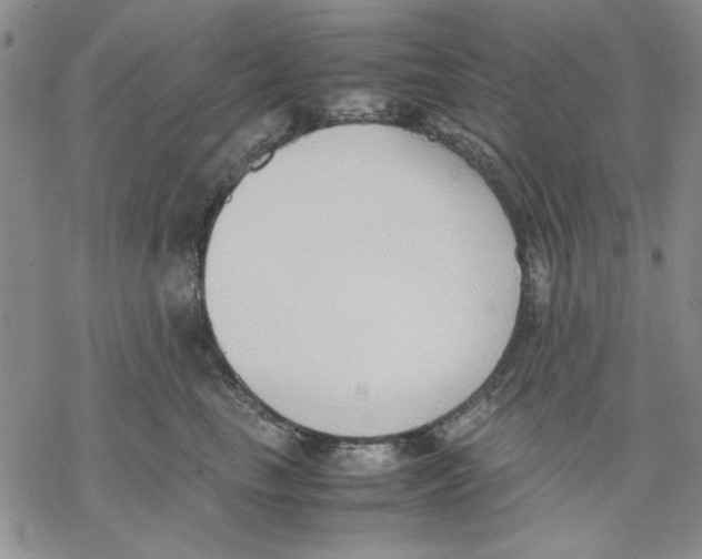 X0000069390665200606021633