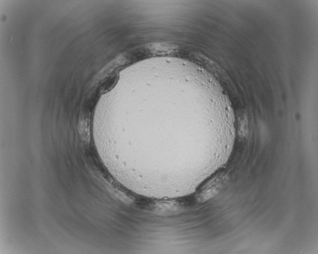 X0000069390666200606021633