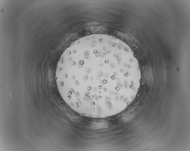 X0000069390667200606021633