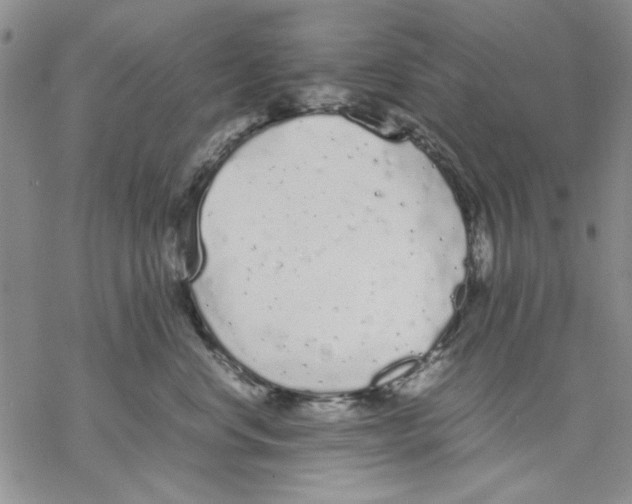 X0000069390668200606021633