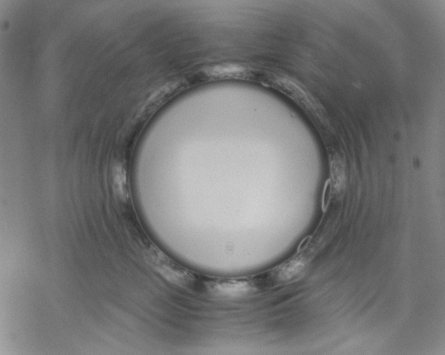 X0000069390669200606021633