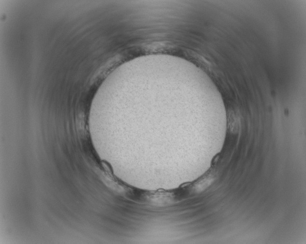 X0000069390670200606021633