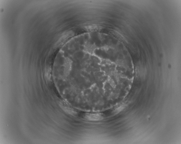 X0000069390671200606021633