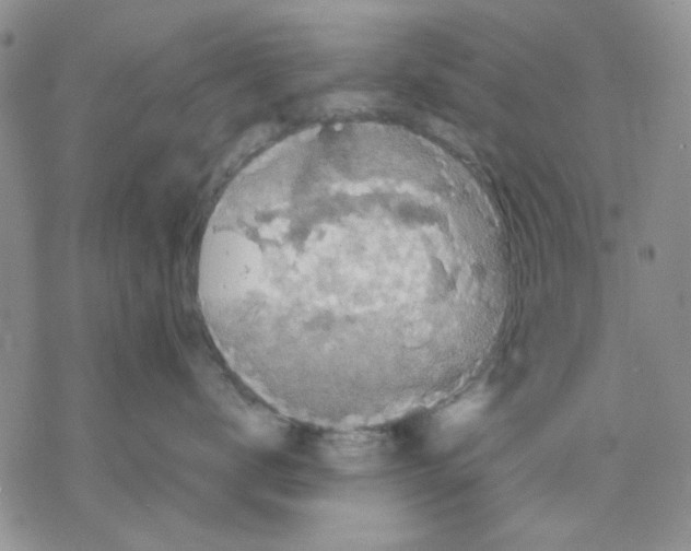 X0000069390672200606021633