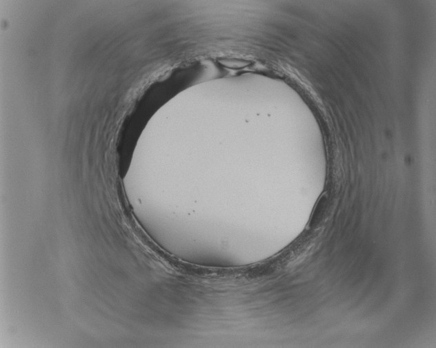 X0000069390673200606021632