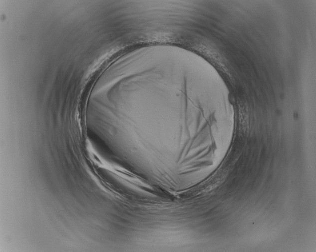 X0000069390674200606021632