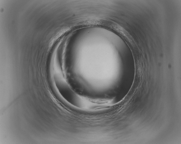 X0000069390677200606021632