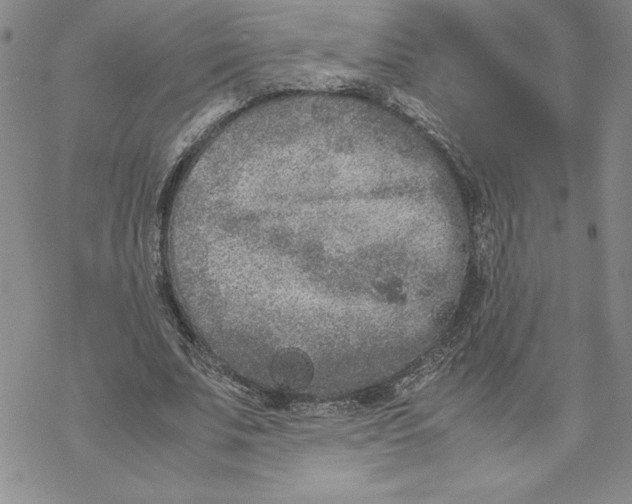 X0000069390679200606021632