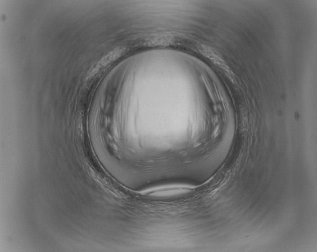 X0000069390681200606021632