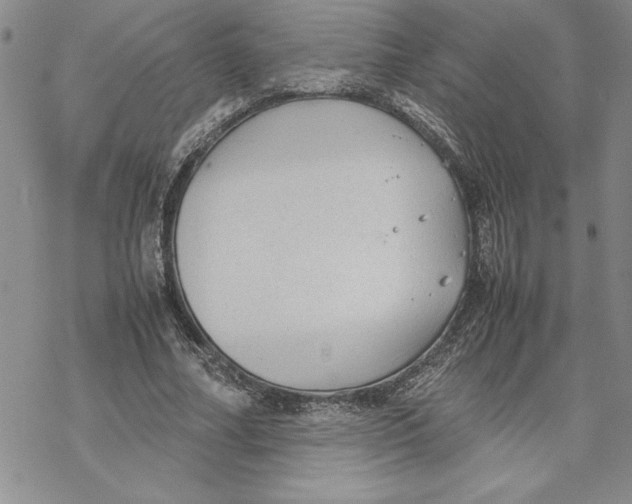 X0000069390682200606021632