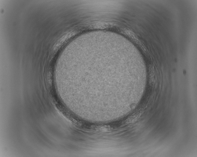 X0000069390683200606021632