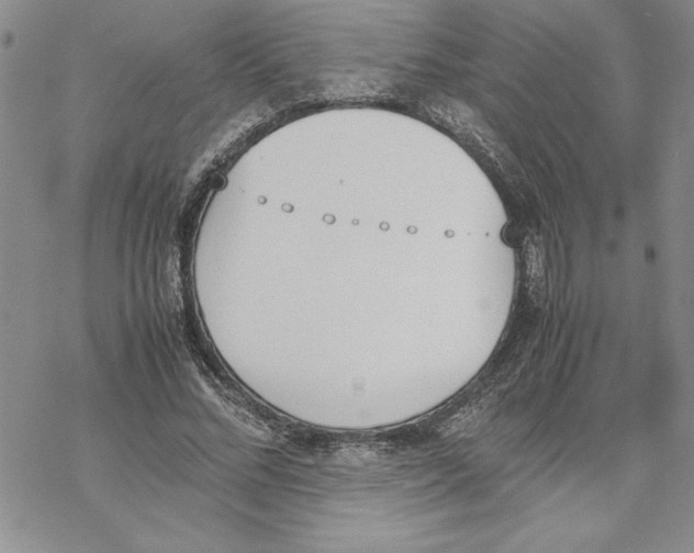 X0000069390684200606021632