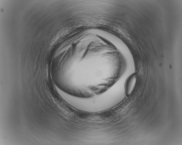 X0000069390685200606021632