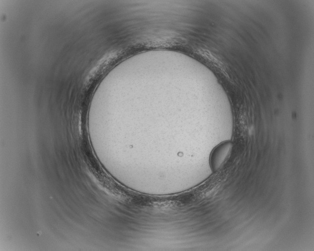 X0000069390686200606021632