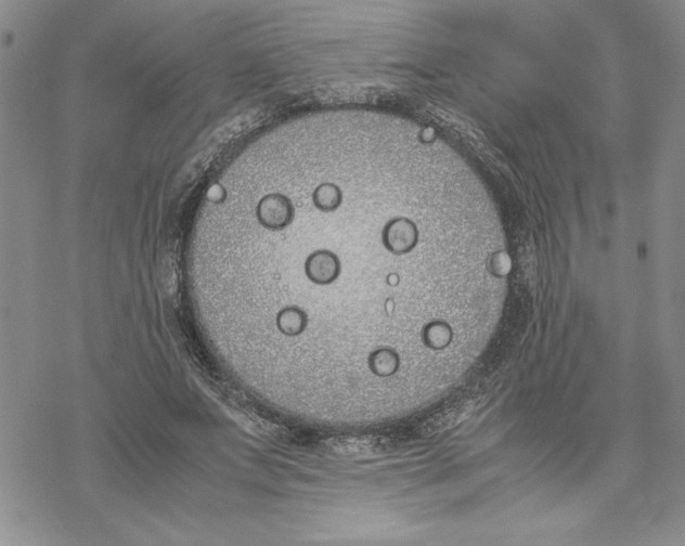 X0000069390687200606021632