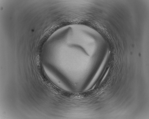 X0000069390689200606021632