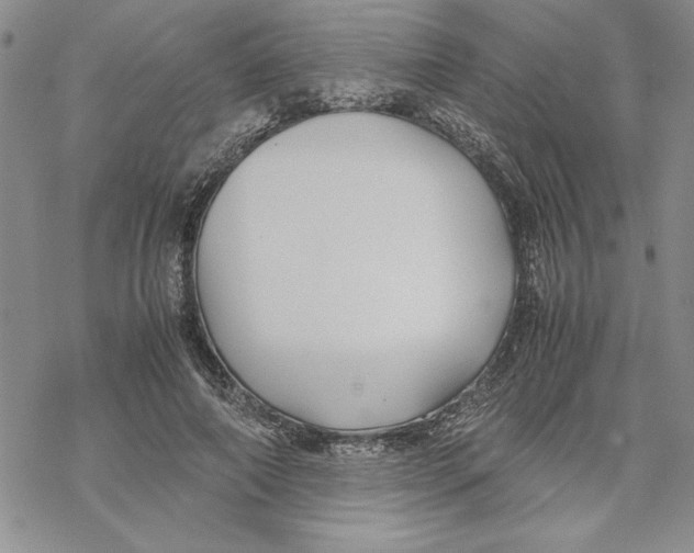 X0000069390690200606021632