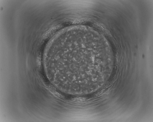 X0000069390691200606021632