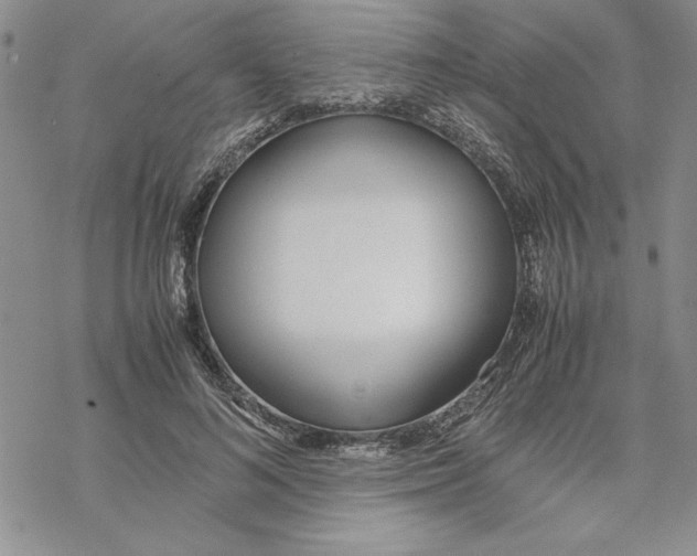 X0000069390692200606021632