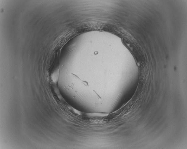 X0000069390693200606021632