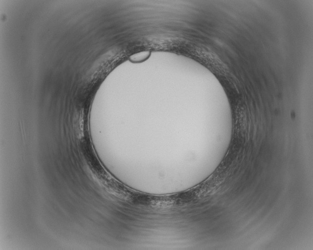 X0000069390694200606021632