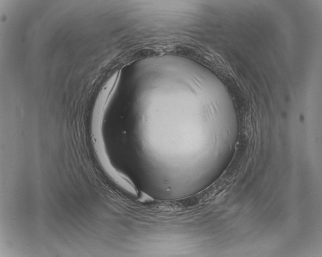 X0000069390697200606021632